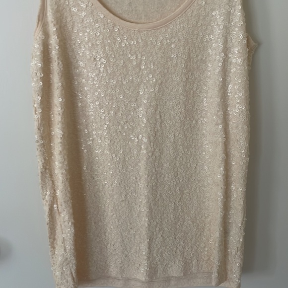 JCrew cream sequin tank top small - Picture 4 of 5